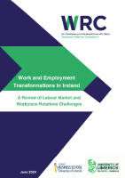 Work and Employment Transformations in Ireland: A Review of Labour Market and Workplace Relations Challenges front page preview
                  
