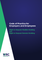 Code of Practice for Employers and Employees front page preview
                  