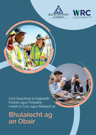 Code of Practice on Addressing Bullying in the Workplace (Irish)